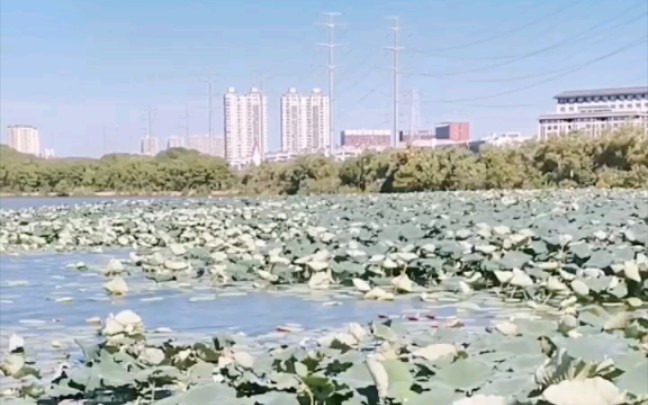 [图]秋天里的最后一个夏天