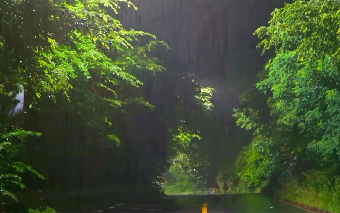 [图]【雨声】夏天的晚上，温柔的雨夜