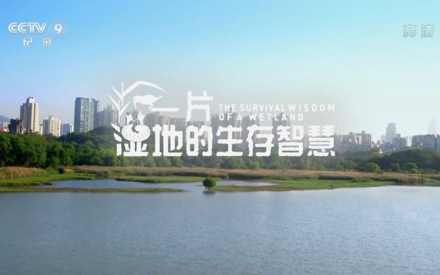 [图]【CCTV-HD】深圳自然笔记【1080P】【2019】【2集全】