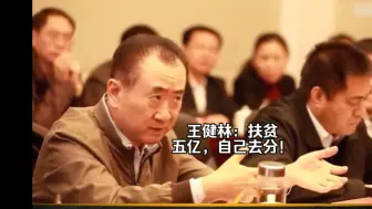 Скачать видео: 扶贫？县长：企业利润都留下；王健林：别放屁，甩手五个亿…