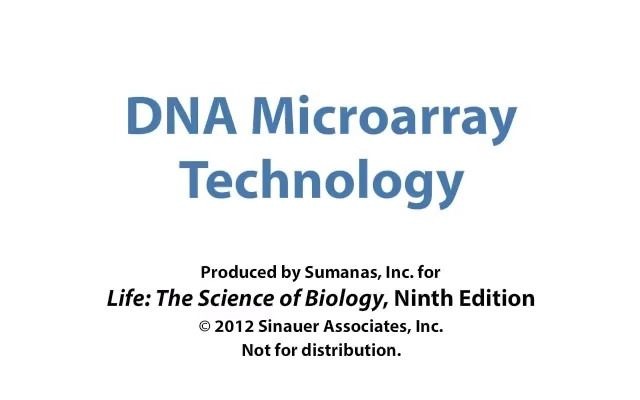 DNA微阵列(芯片)技术哔哩哔哩bilibili