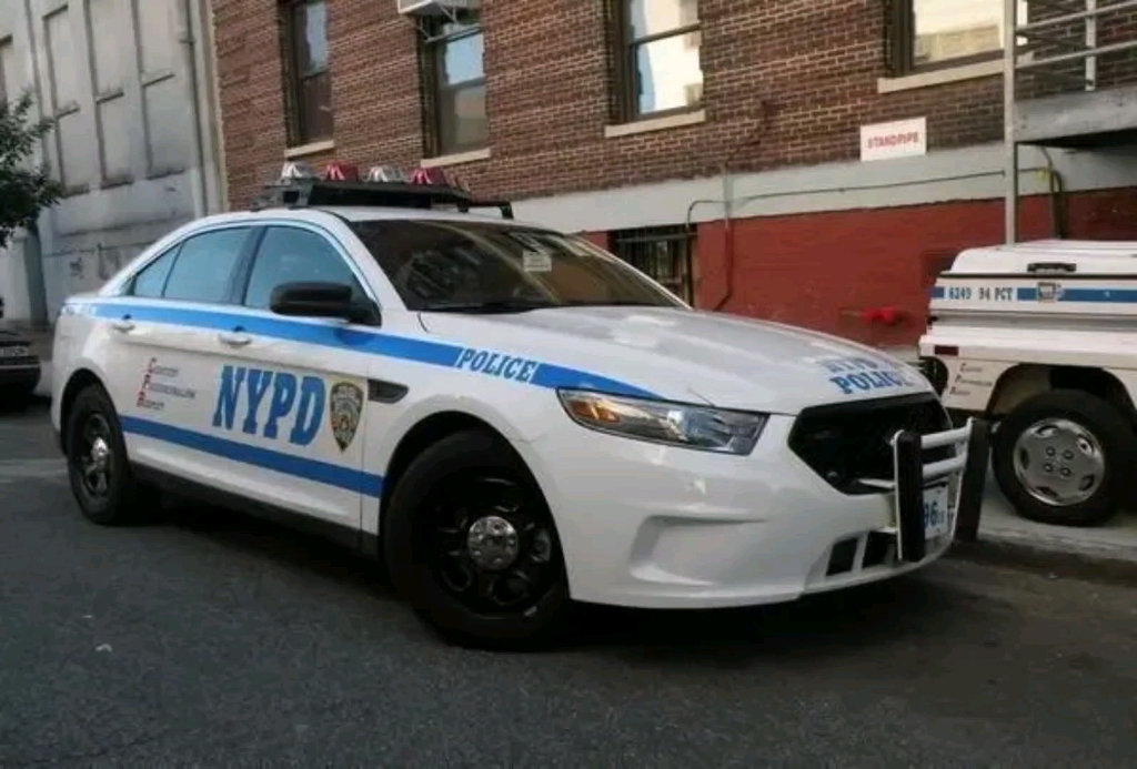 nypd(图片)