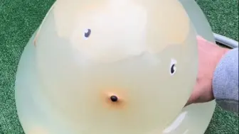 这是一只小狗？？？？