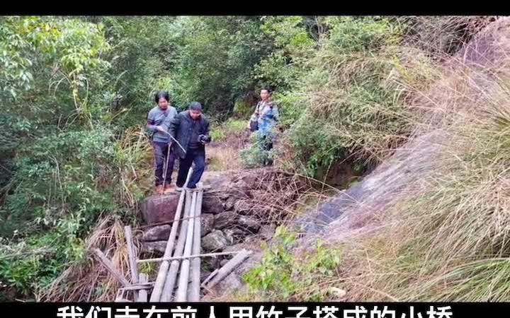 祯埠镇九湾仙峡猎奇 好山好水好风景哔哩哔哩bilibili