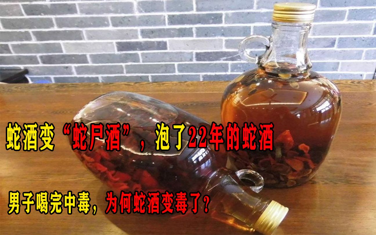 蛇酒变蛇尸酒,泡了22年的蛇酒,男子喝完中毒,为何蛇酒变毒了?哔哩哔哩bilibili