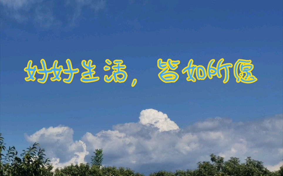 【好好生活,皆如所愿】行动打卡第(4)天