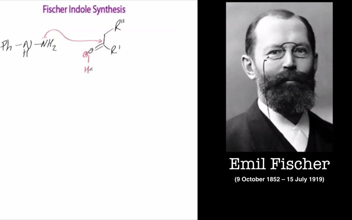 [图]有机化学人名反应 Fisher吲哚合成 The Fischer Indole synthesis