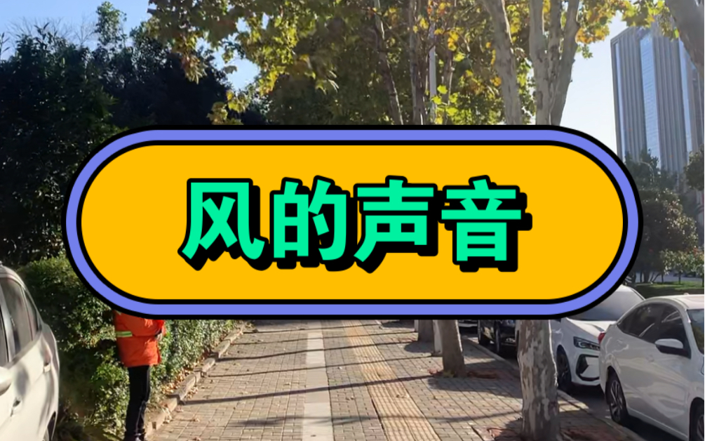 听风的声音.