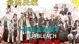 死神bleach 千年血战篇大结局最终决战来临一护和蓝染联手 第二十五期 哔哩哔哩 つロ干杯 Bilibili