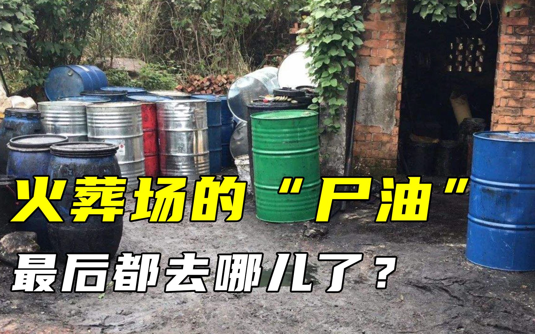 尸油的功效(神奇的尸油:改善皮肤,促进血液循环,让你焕发青春活力)