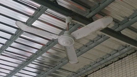 这是一台佛山市常见的日彩老吊扇