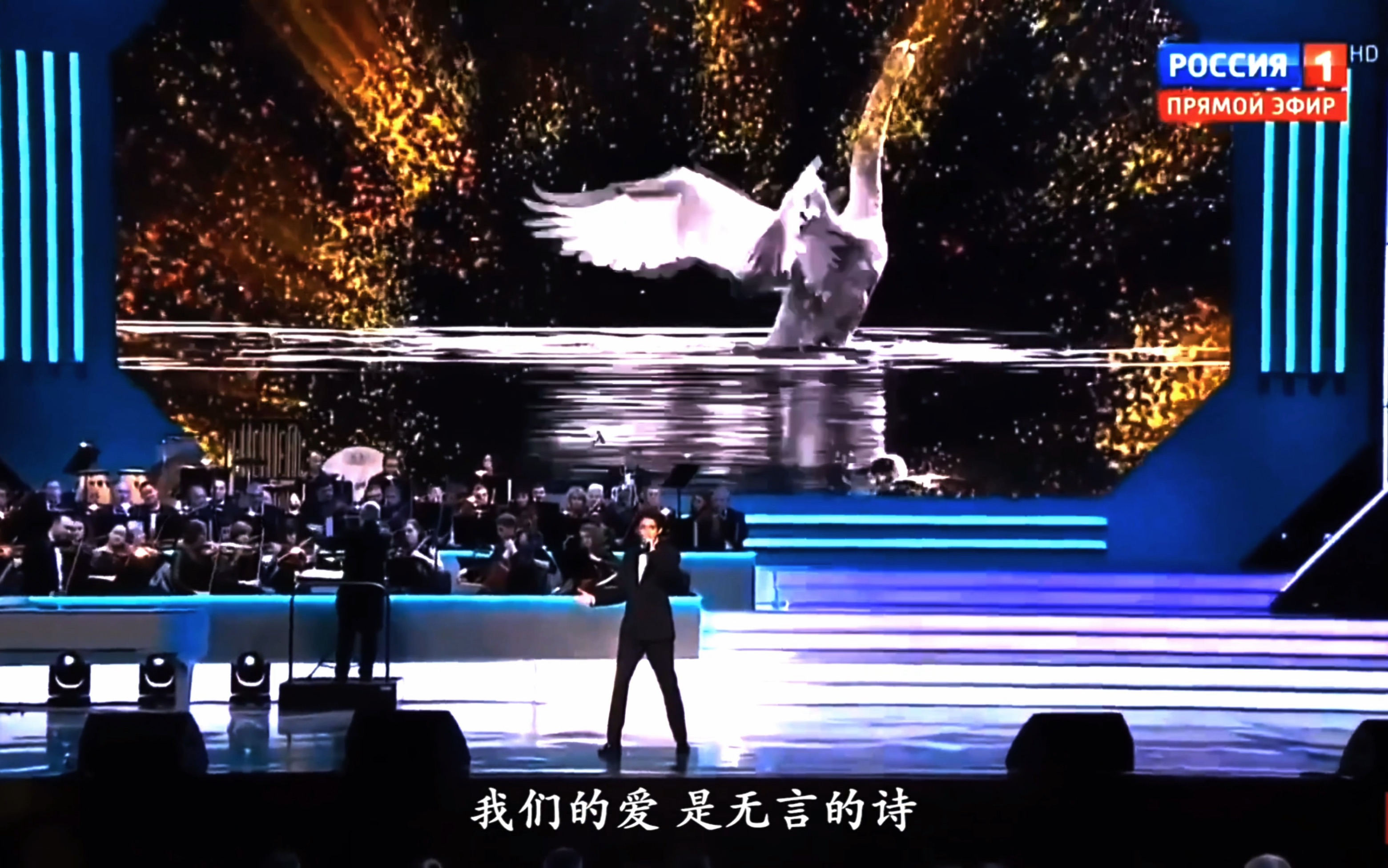 [图]迪玛希 《The Love of Tired Swans》（疲惫天鹅之恋）