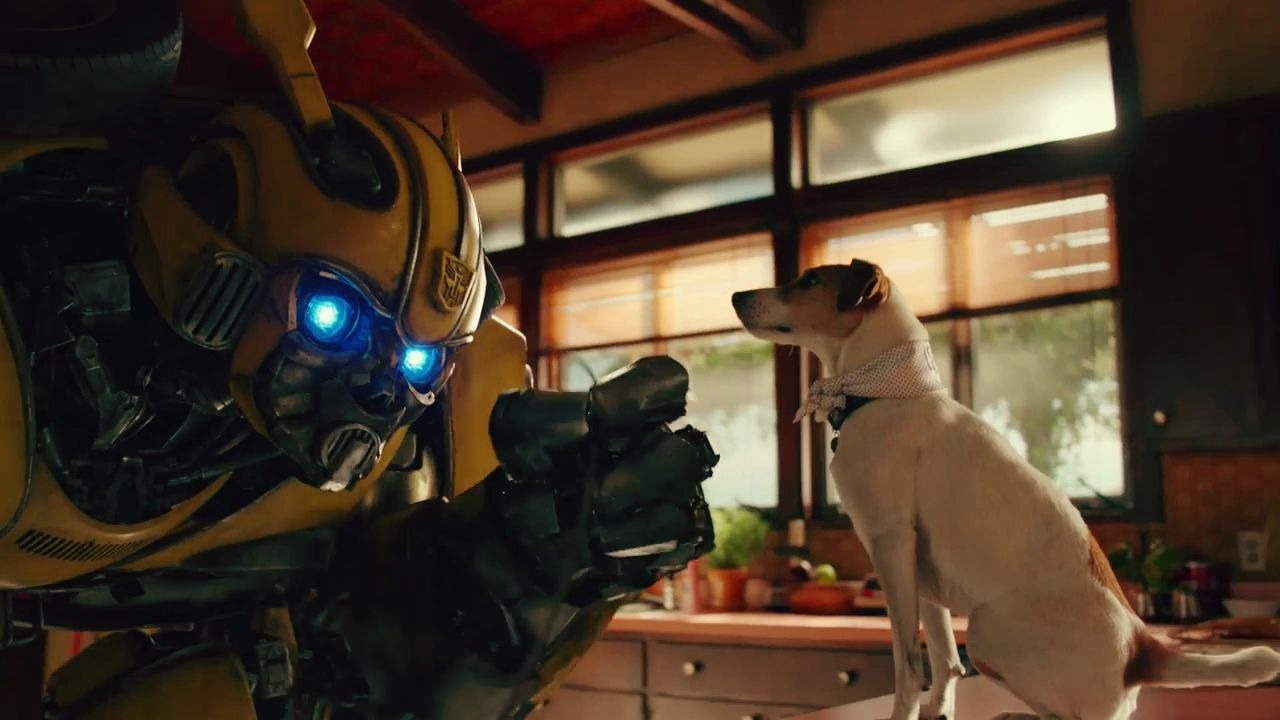 蠢萌大黄蜂,我只是想了解一下家庭生活