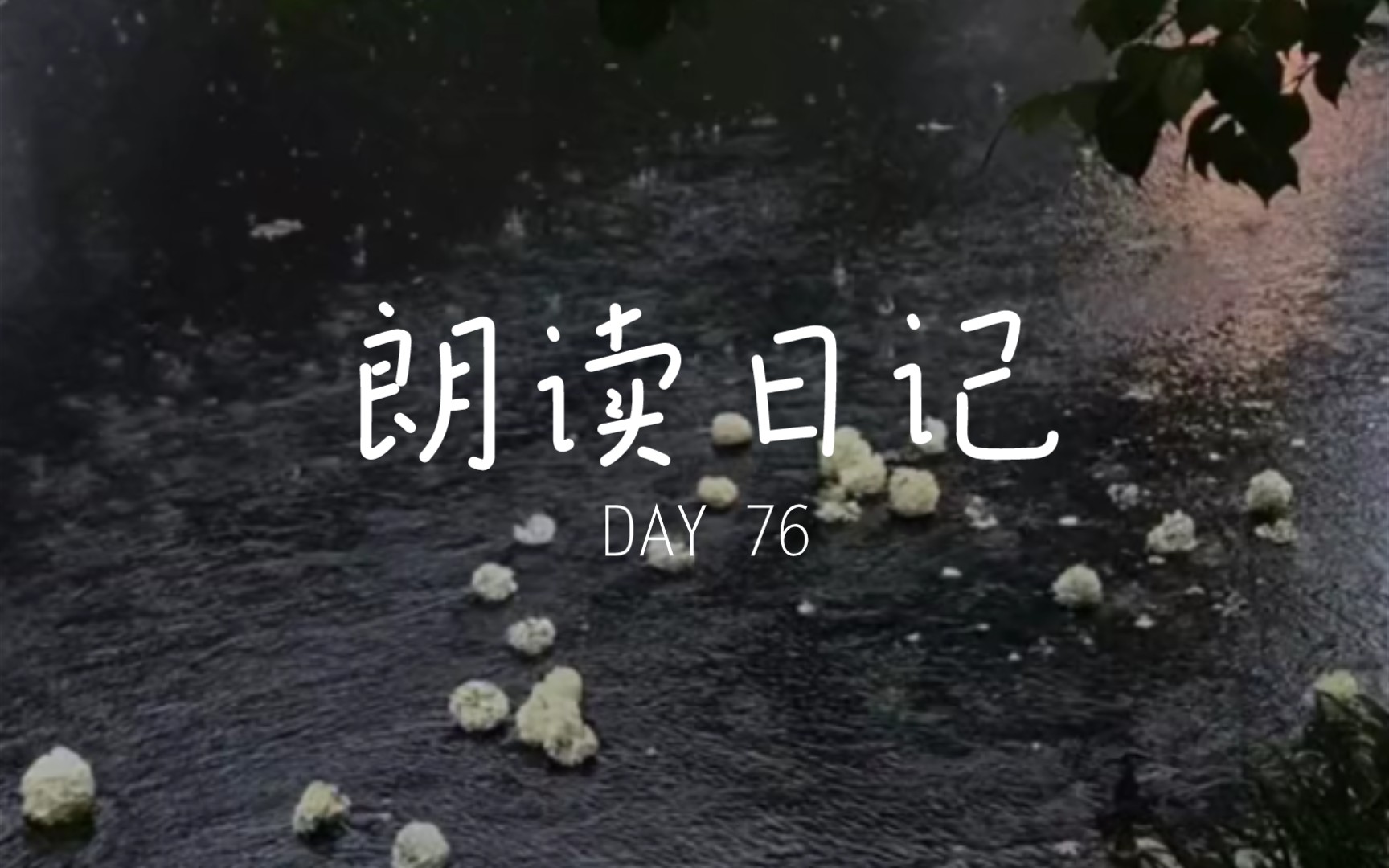 [图]朗读日记 DAY76 《南乡子·为亡妇题照》