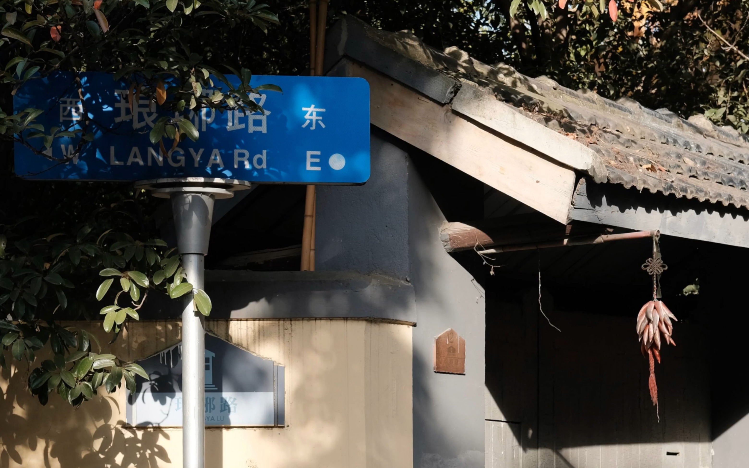 【扫街】南京鼓楼区 颐和路 琅琊路【富士xt20】 cc模式直出 ggggreen