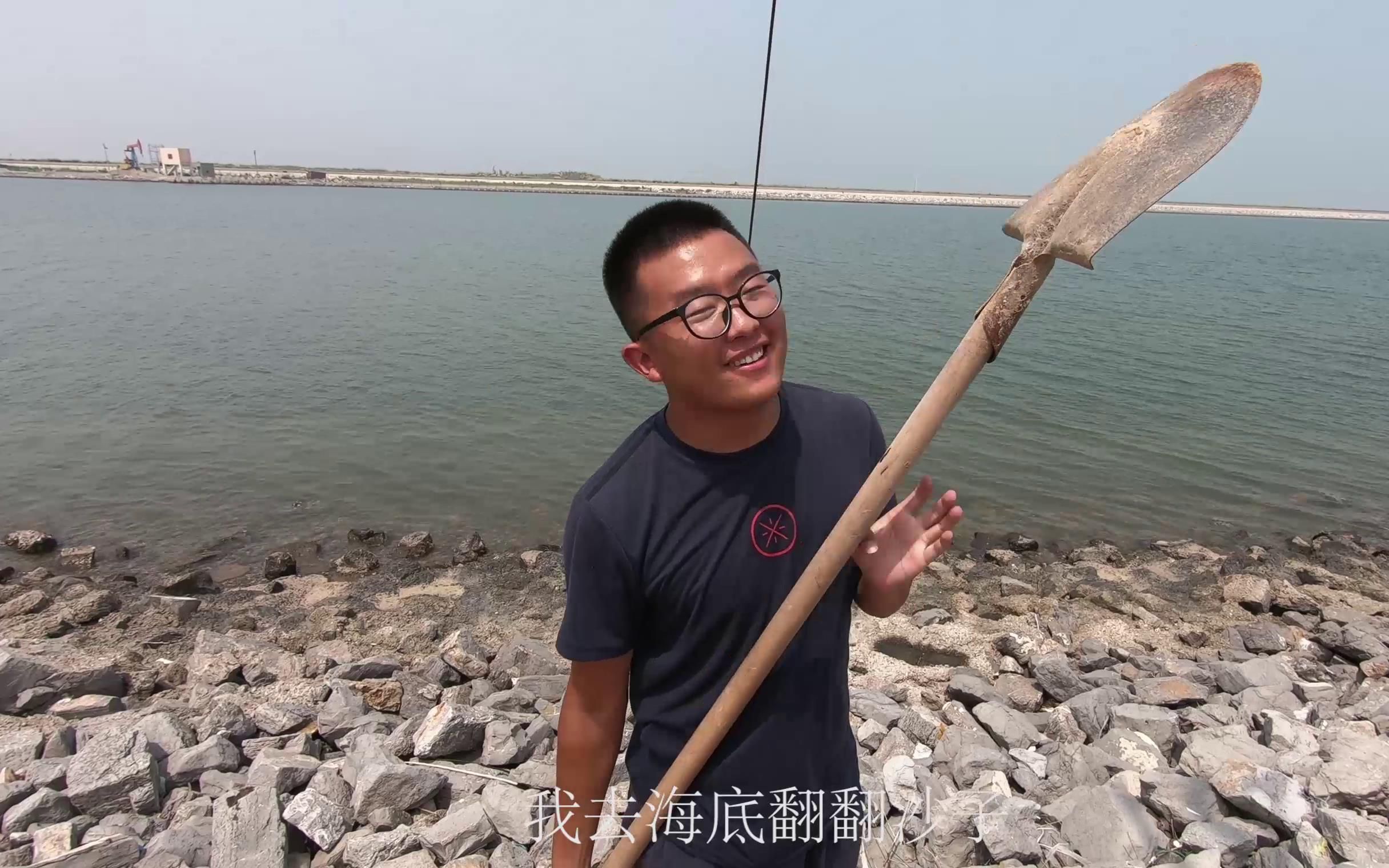 二蛋嘴馋饭店辣炒花蛤拿着新工具赶海去挖这样做的比饭店还香