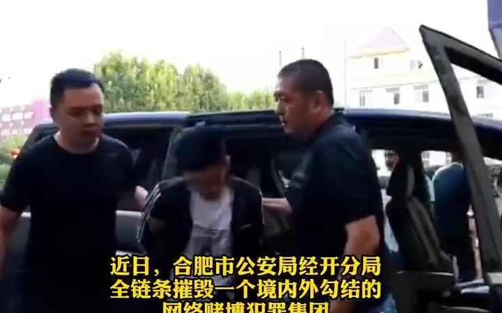 涉案资金达500亿元 合肥警方侦破特大跨境网络赌博案哔哩哔哩bilibili