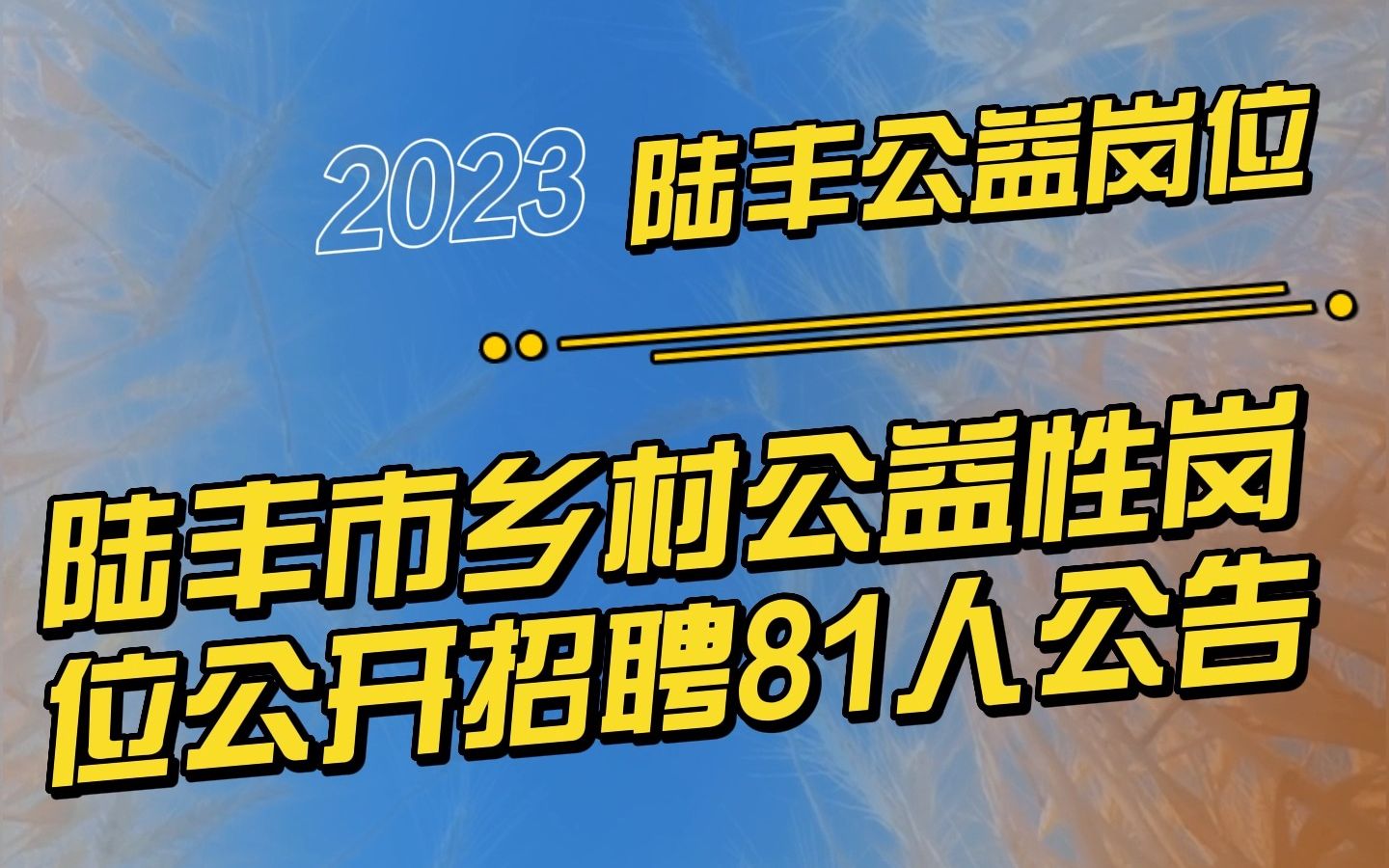 陆丰市2023年度乡村公益性岗位公开招聘81人公告哔哩哔哩bilibili