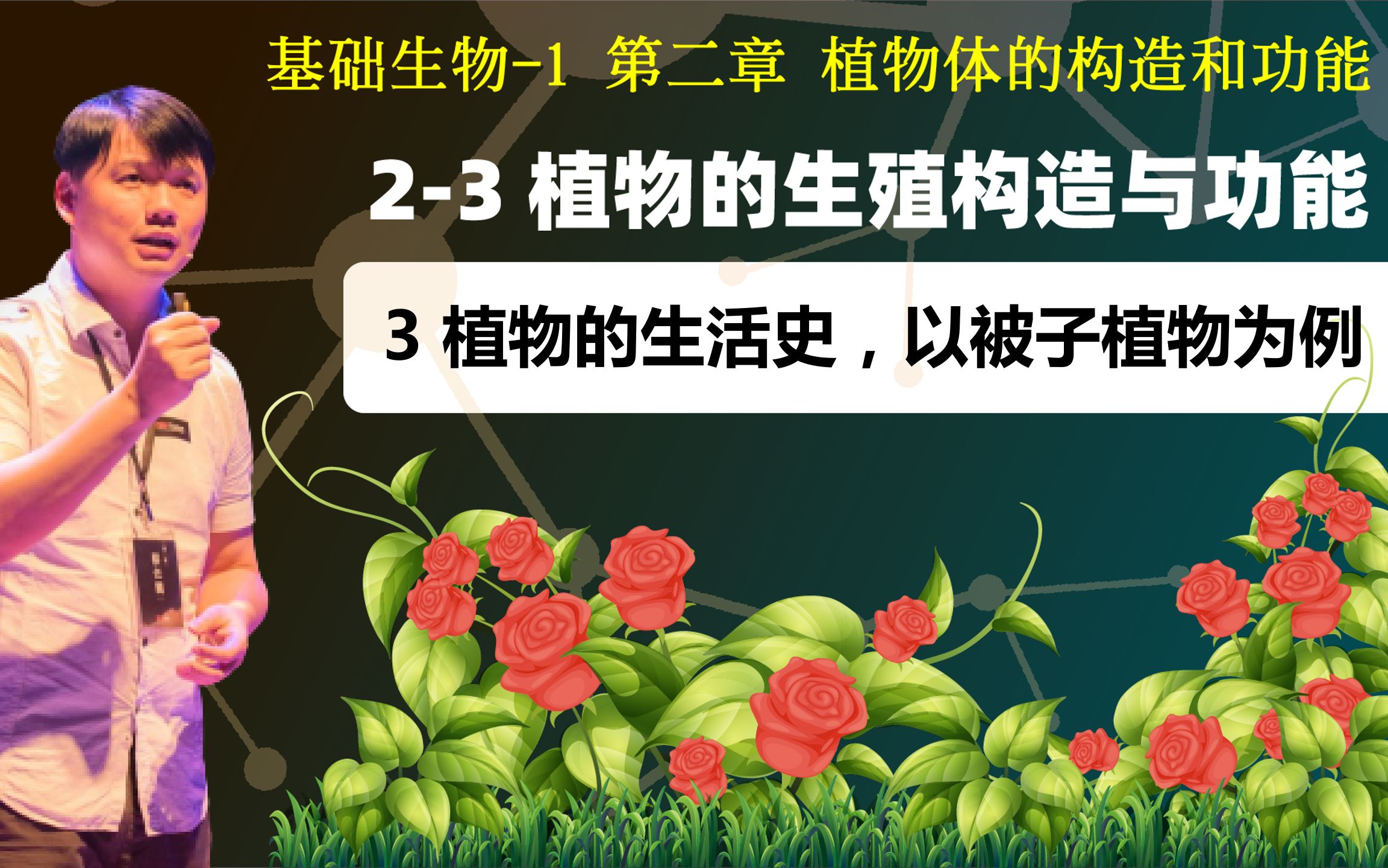 基础生物学 23.3 植物的生活史以被子植物为例哔哩哔哩bilibili