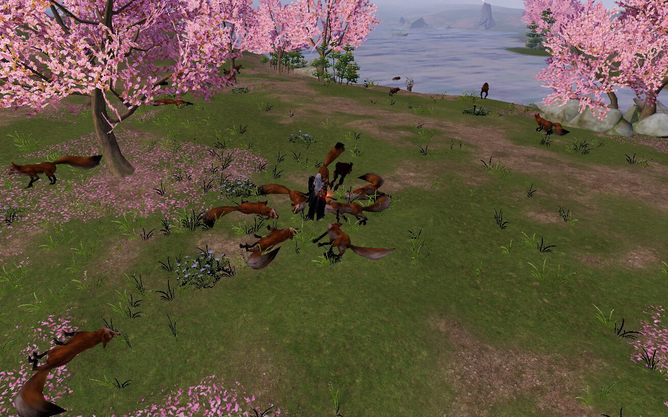 剑网三灰狐攻略花间自动挂机刷怪