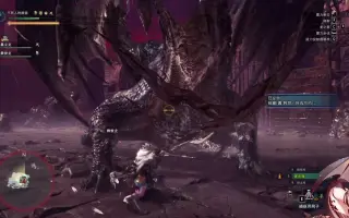 强弓珠 哔哩哔哩 Bilibili