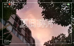 Descargar video: 【歪叽歪の日常】一些夏日碎片 | 暑假Vlog