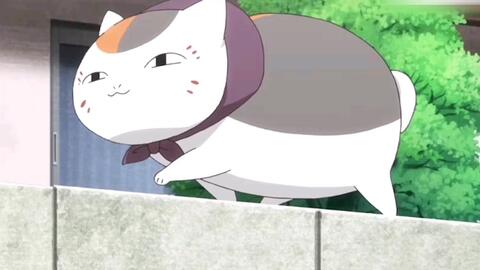 搜索 哔哩哔哩 つロ干杯 Bilibili