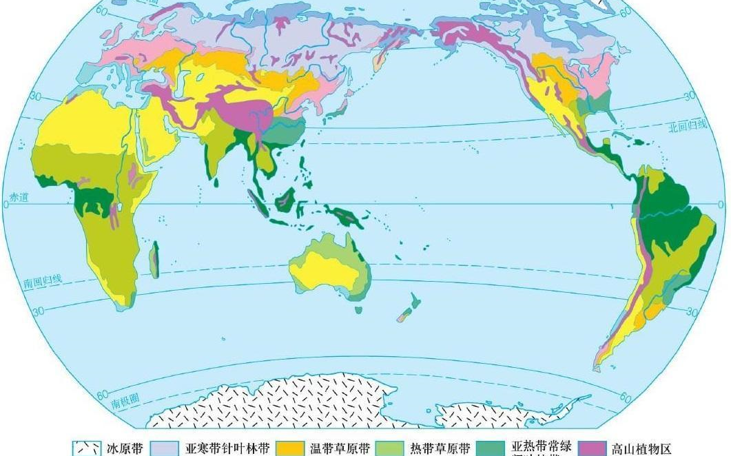 陆地自然带的类型及分布规律哔哩哔哩bilibili