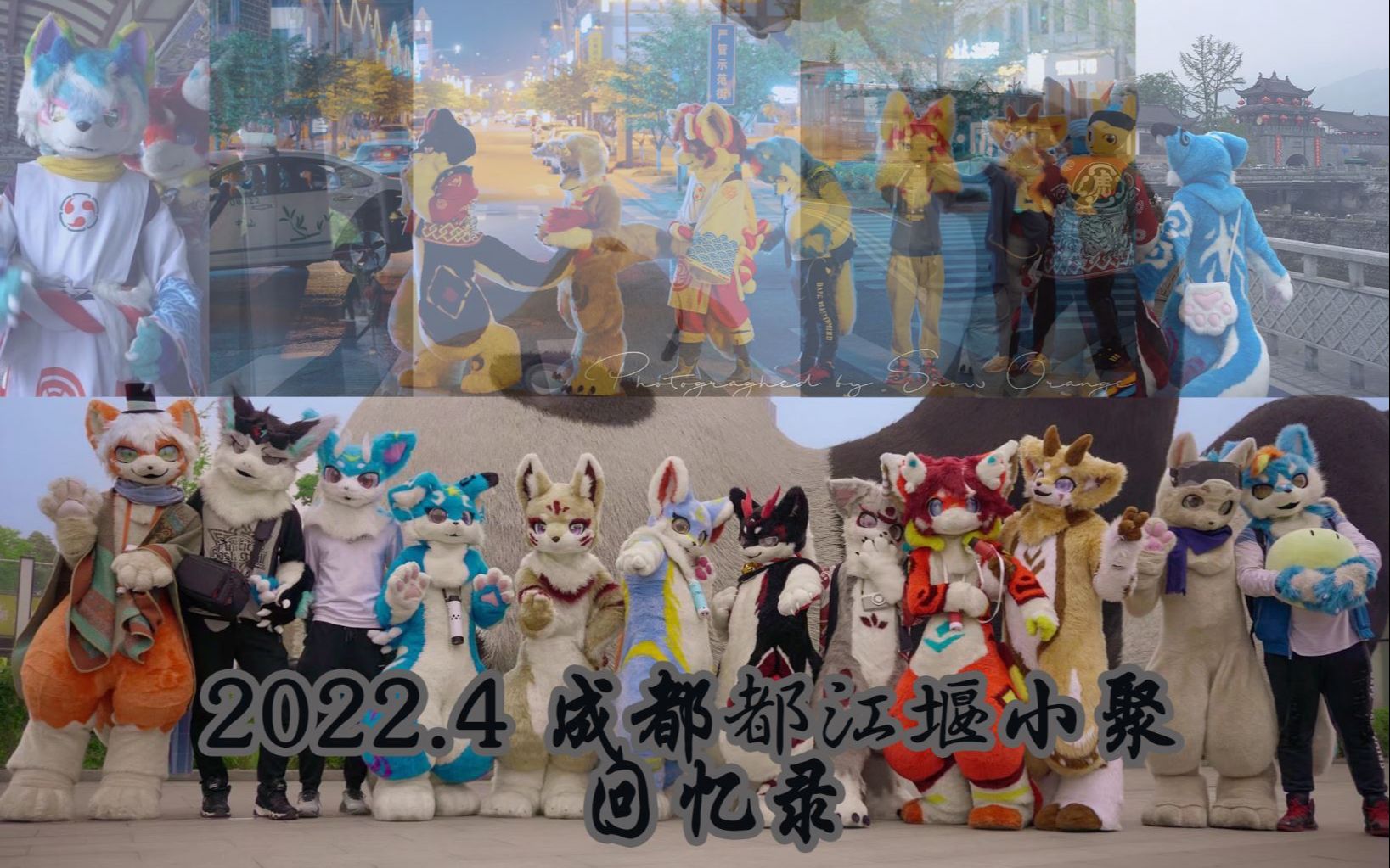 【FURRY】水拜都江堰!2022.4 成都都江堰小聚 回忆录哔哩哔哩bilibili