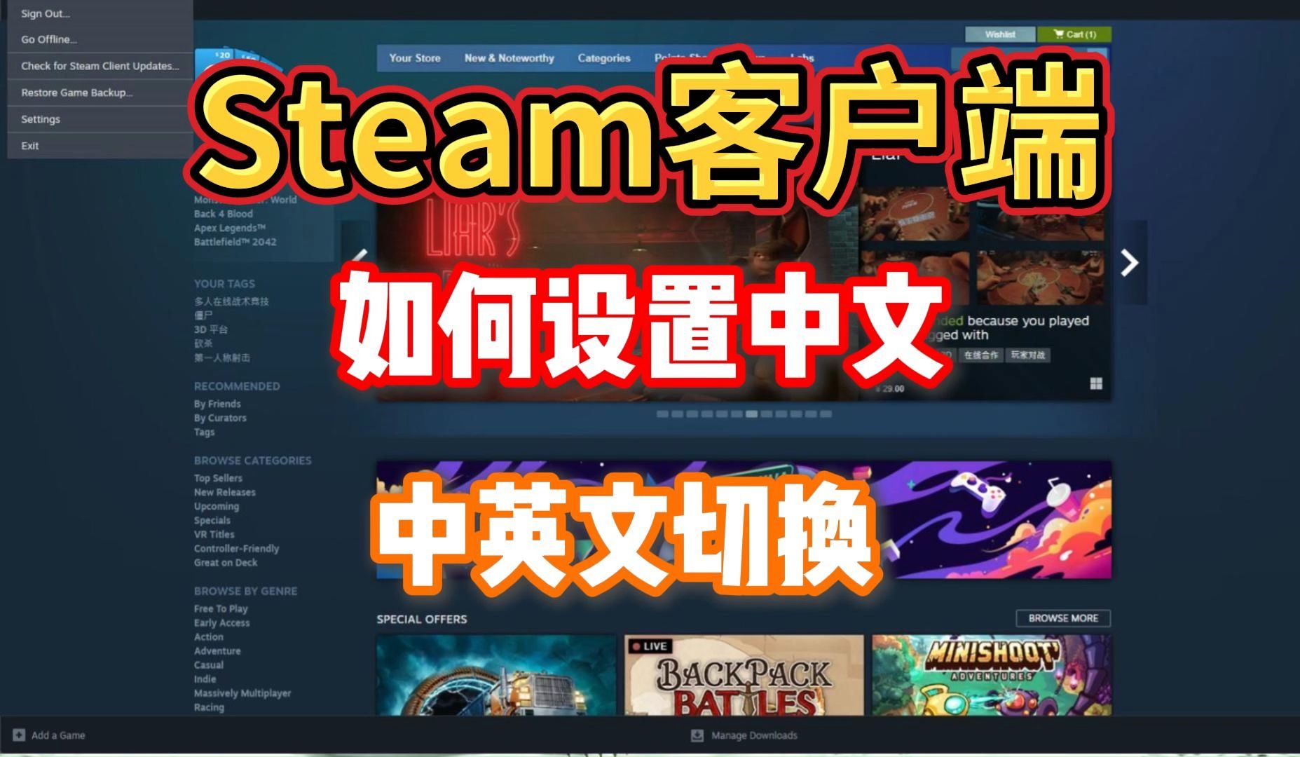 【Steam客户端】小白必看的Steam客户端设置教程如何设置客户端中文/中英文切换网络游戏热门视频