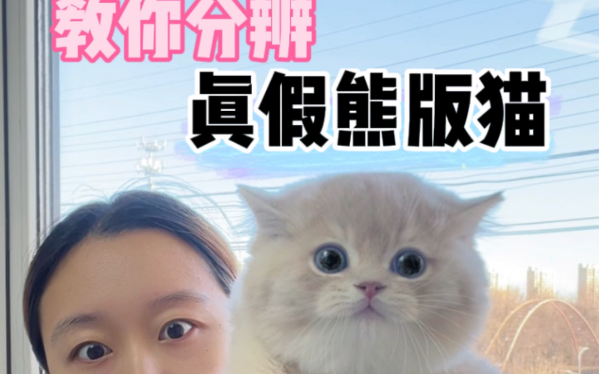 猴版起个名就叫熊版了?可不是那回事!哔哩哔哩bilibili