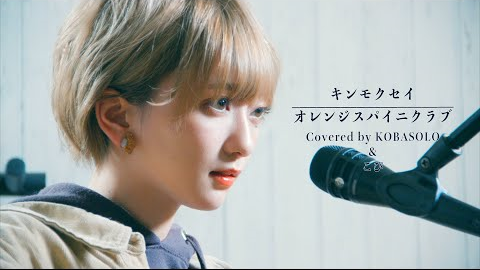 Kopi酱 やっぱビビッと来てるよ キンモクセイ オレンジスパイニクラブ Covered By コバソロ こぴ 哔哩哔哩 Bilibili