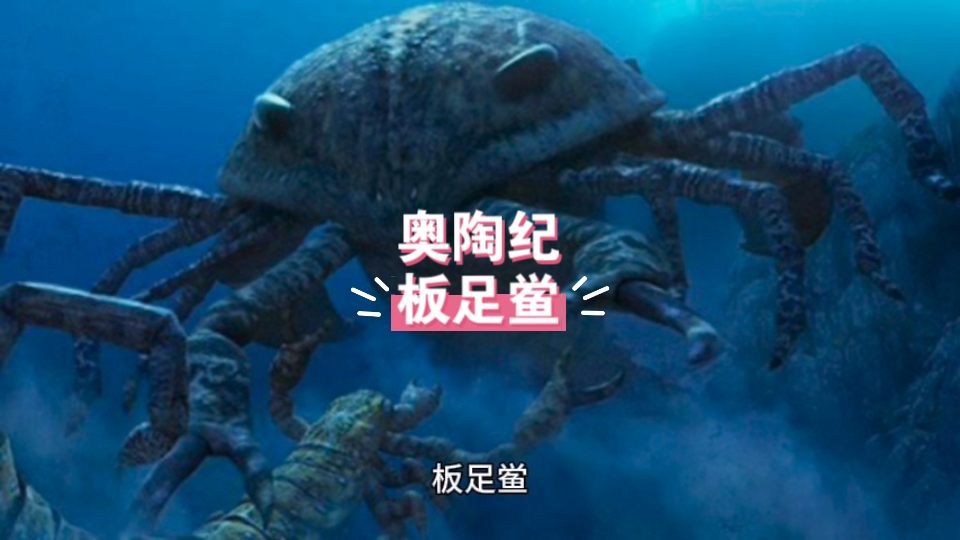 5米左右 已知最大的节肢动物可能就属于板足鲎 距今4.88亿年