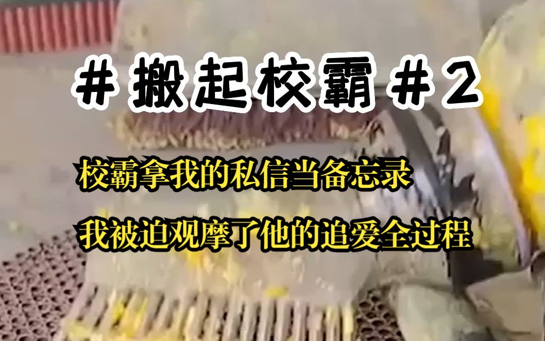 校霸拿我的私信当备忘录,我被迫观摩了他的追爱全过程哔哩哔哩bilibili