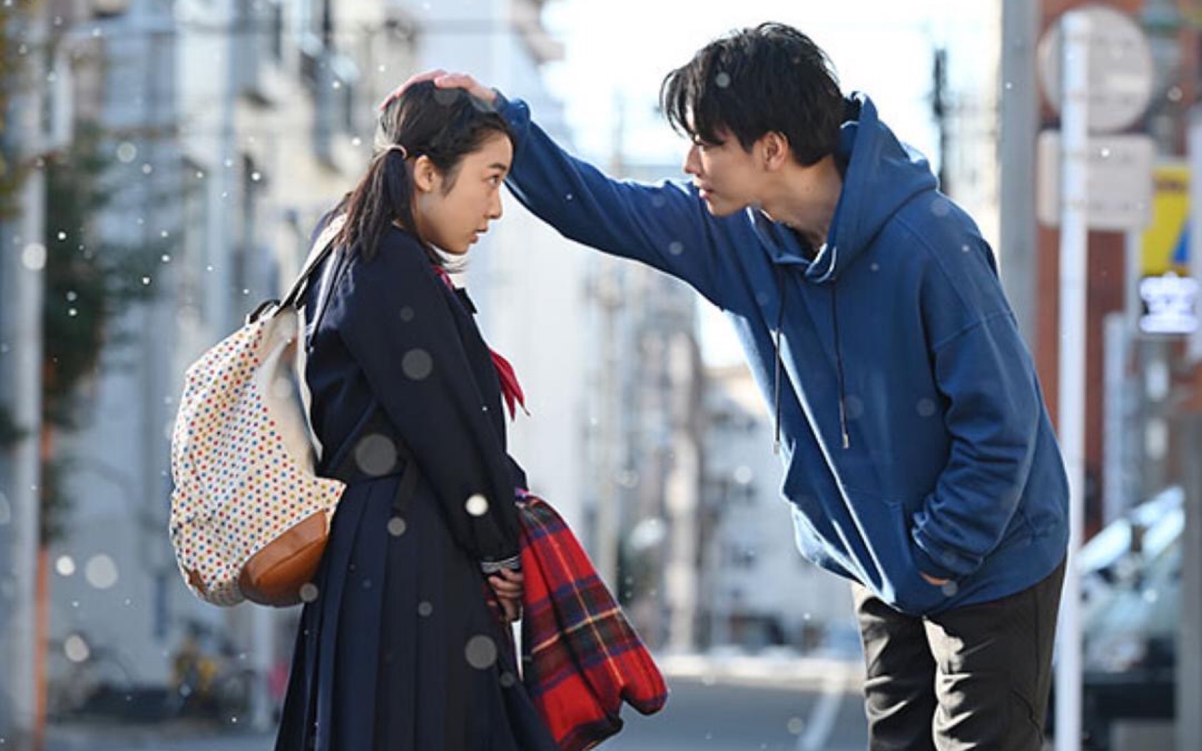 【将恋爱进行到底】【上白石萌音 佐藤健】白砂糖给我冲!