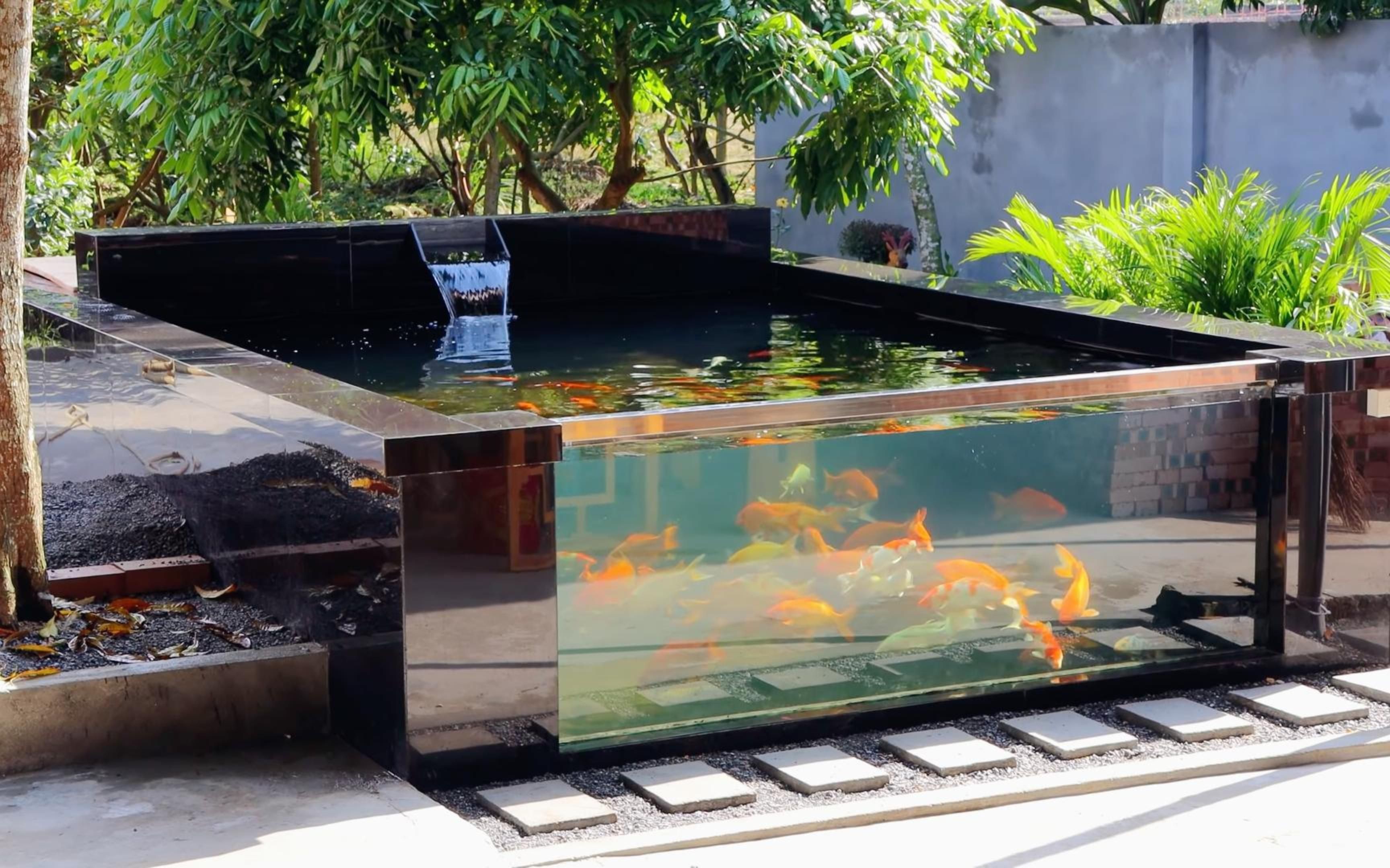 国外小伙请人在院子里建了一个鱼池,网友:这不是泳池吗(下)