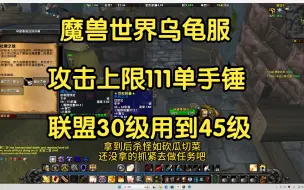 Video herunterladen: 魔兽世界乌龟服 强力单手锤 30级用到45级