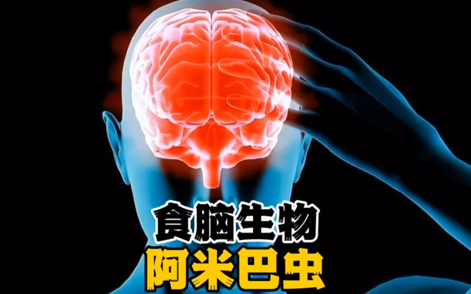 食脑生物阿米巴虫,你了解多少?哔哩哔哩bilibili