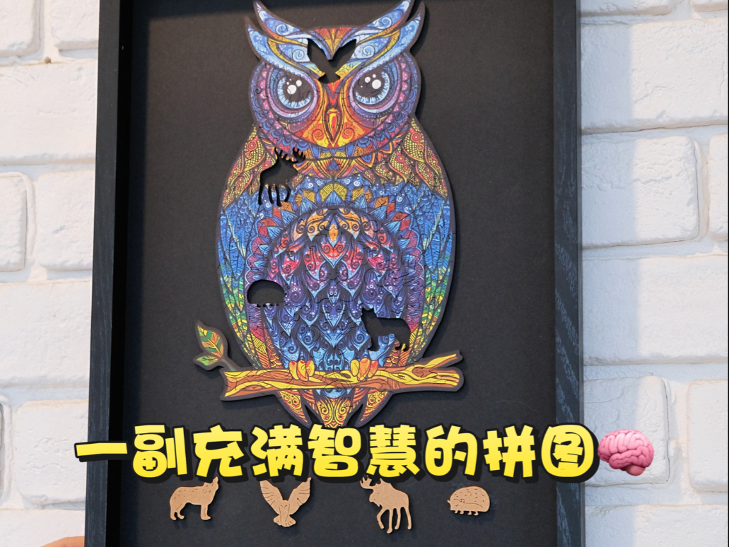 猫头鹰被称为"福鸟",也是智慧的象征～当作礼物🎁送给朋友,心意满满