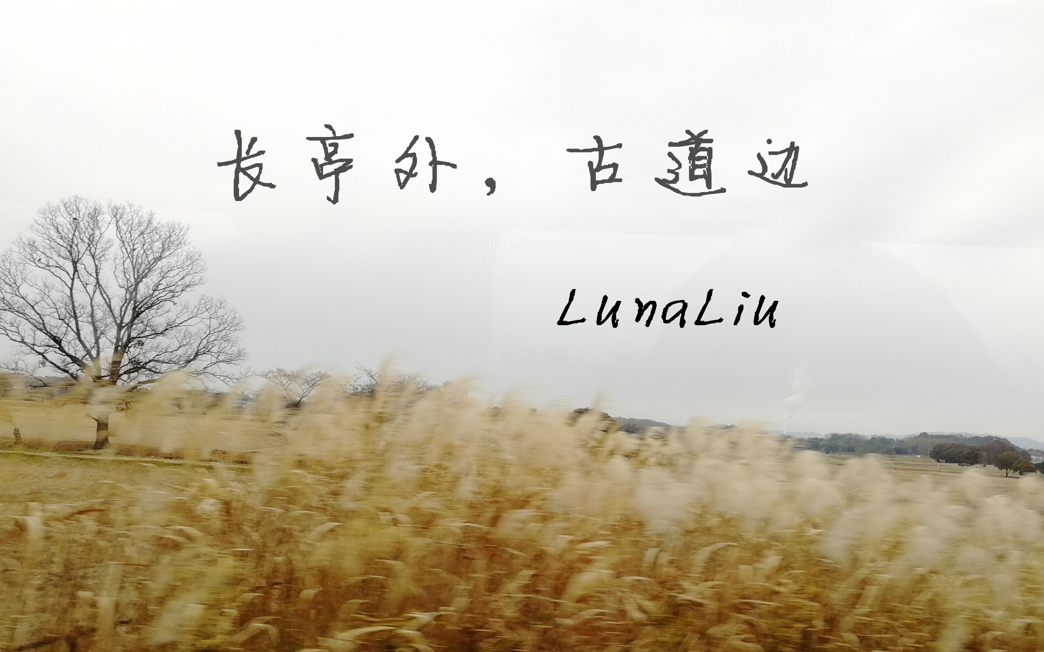 【lunaliu】长亭外,古道边