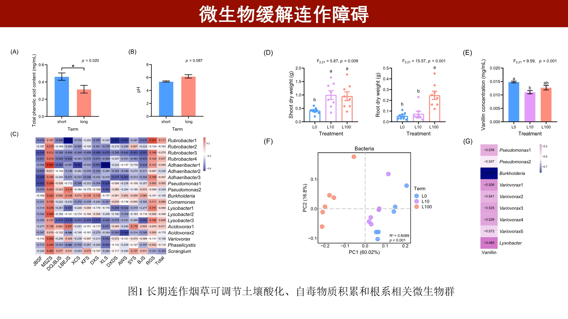 iMeta | 刘杏忠团队揭示长期连作缓解烟草连作障碍的微生物机制哔哩哔哩bilibili