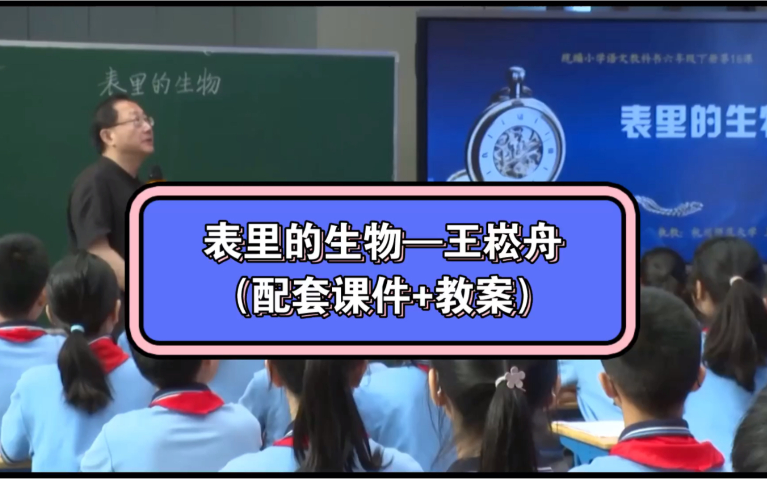 小学语文公开课《表里的生物》执教人:王崧舟,课堂实录哔哩哔哩bilibili