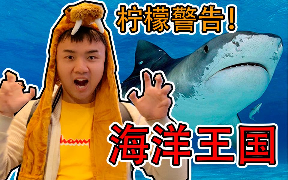 【vlog】海 洋 王 国 大 探 险!哔哩哔哩bilibili