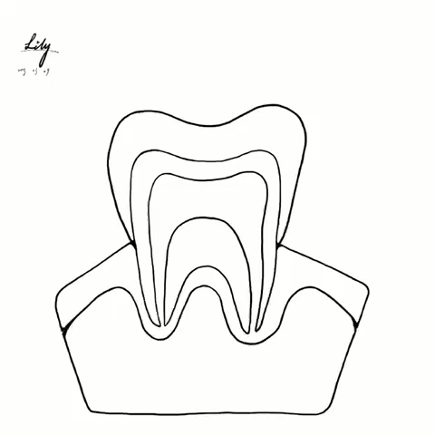 牙齿怎么画 一步一步图片