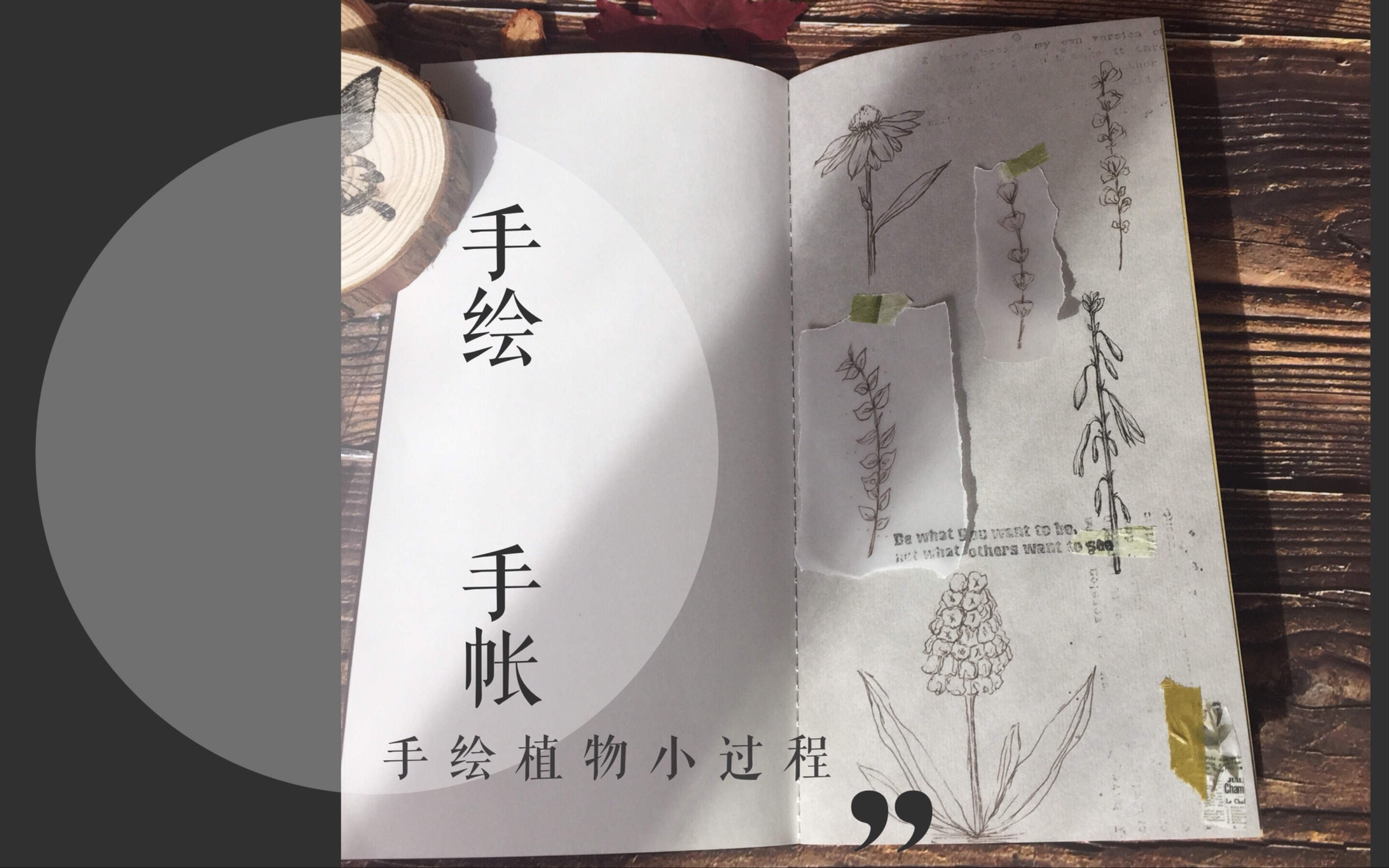 【镜子】手绘植物vol.4 | 手绘 | 植物 | 手帐 | 手把手教你画植物做手帐 | 没有印章自己画系列哔哩哔哩bilibili