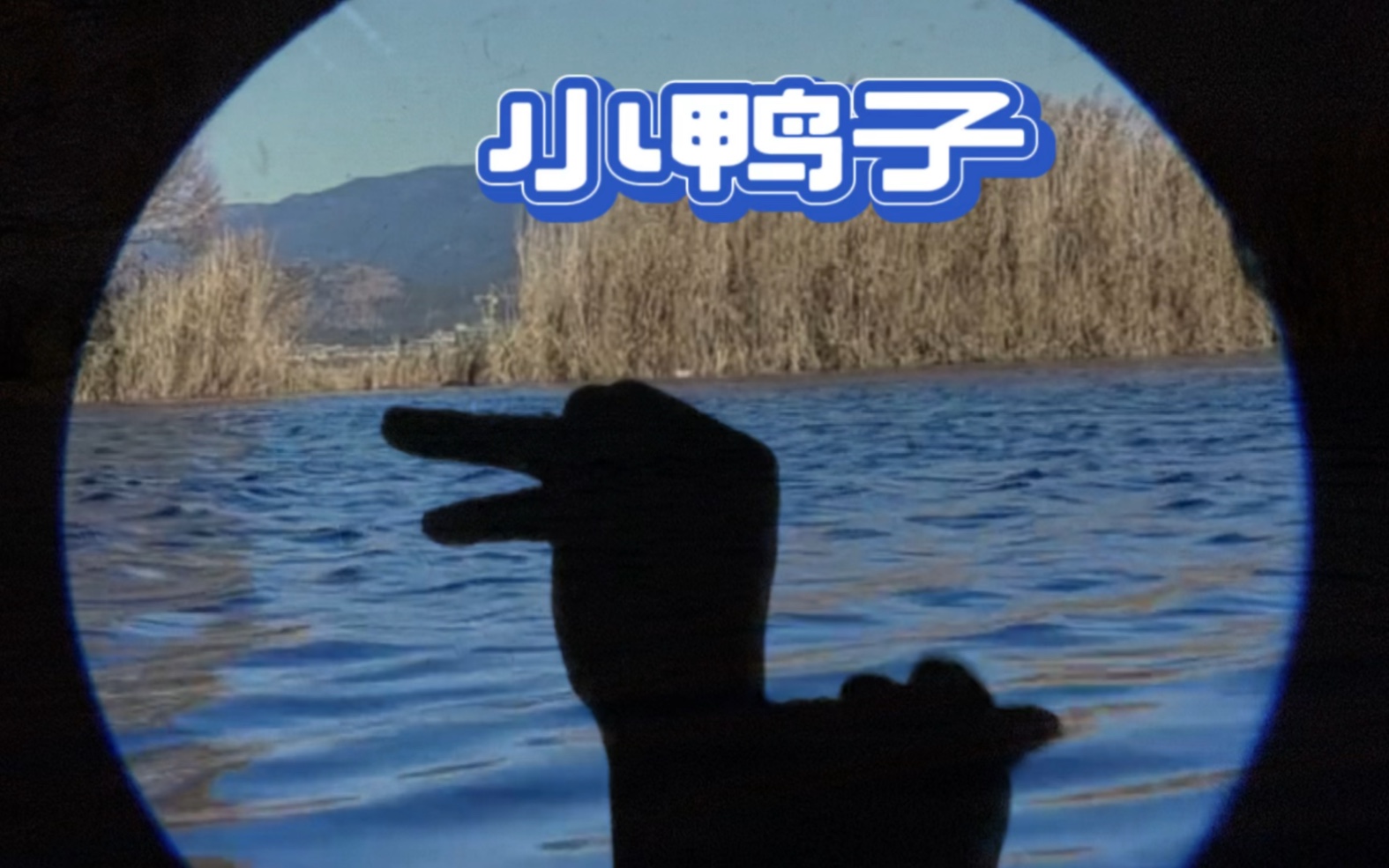 手影——小鸭子