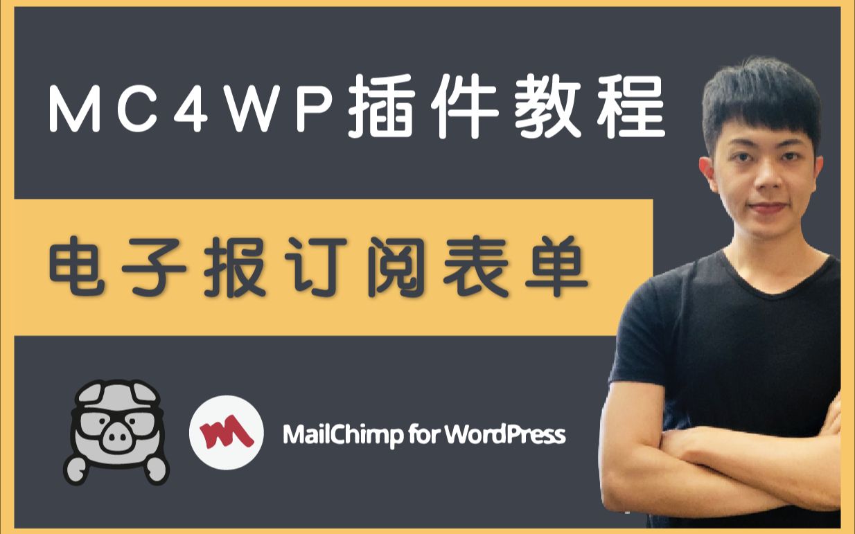 如何制作电子报订阅表单? MailChimp for WordPress 插件教程(MC4WP)哔哩哔哩bilibili