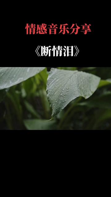 [图]我的城市下雨了 🌹下雨天你带伞了吗 🍒我不喜欢下雨但是我喜欢听下雨声 🍎感谢所有深爱我的朋友