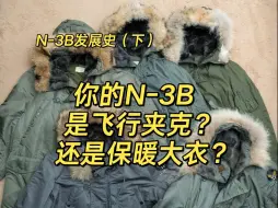 Download Video: N-3B发展史（下）：N-3B的材质区别与分类