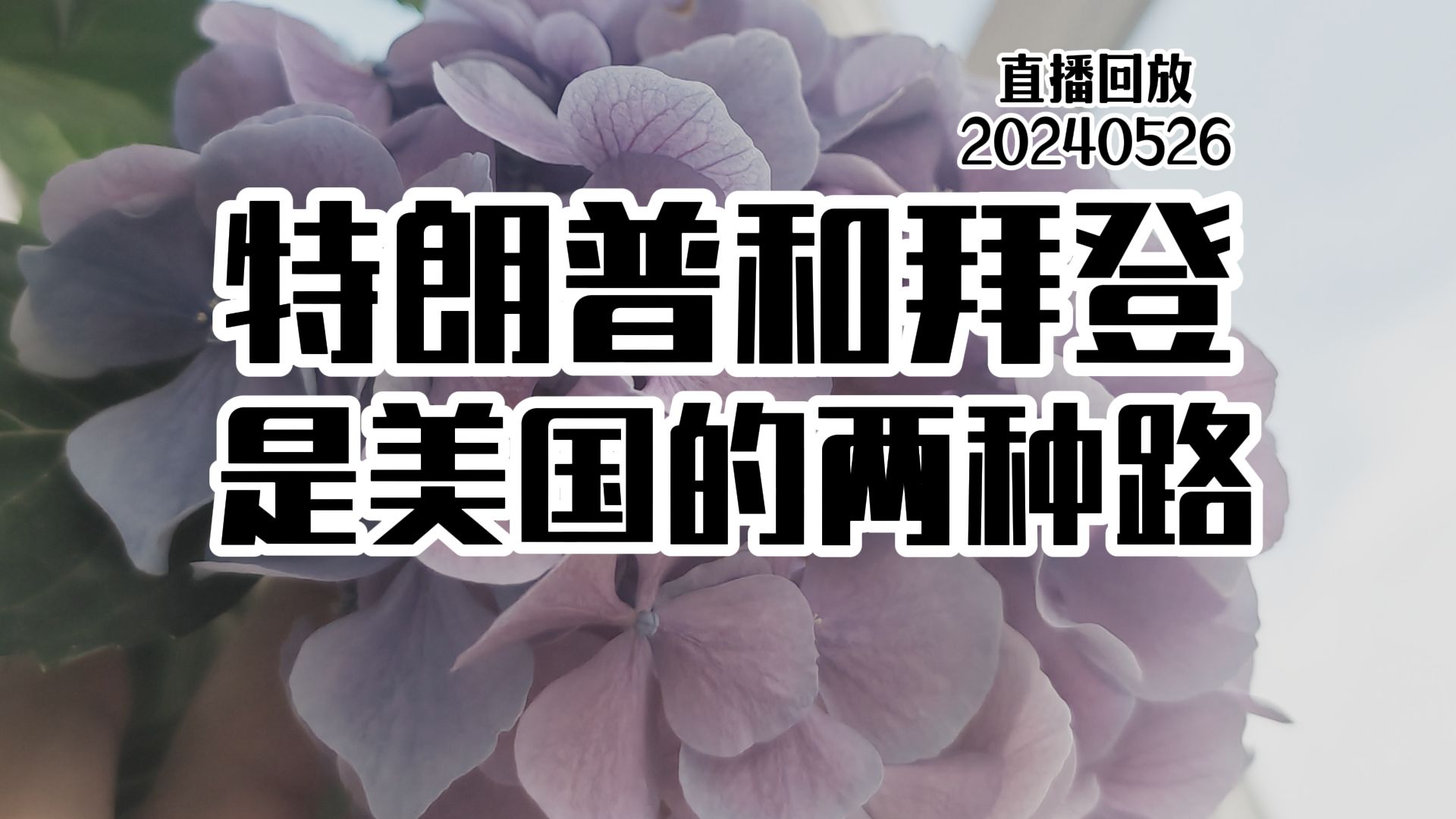 【点金直播】沙特成中美博弈焦点/苏世民支持特朗普/特别国债/政治骗子/军演/特拜是美国的两种应对路线20240529哔哩哔哩bilibili